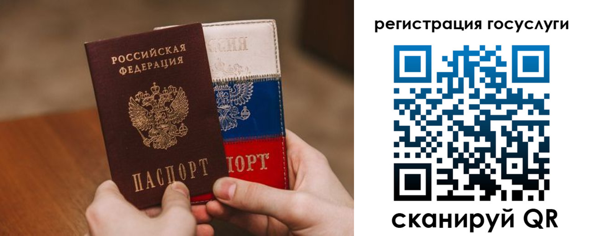 купить прописку в Димитровграде